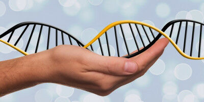 A powerful tool for basic research: Genetic engineering