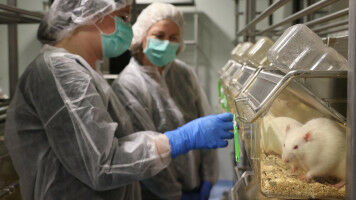A second lease on life for laboratory rats