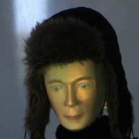 A Social Robot in a Fur Cap