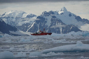 A UB campaign analyses the impact of microplastics on marine fauna in Antarctica