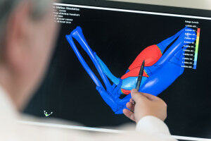 A virtual test laboratory for the interplay of muscles and organs