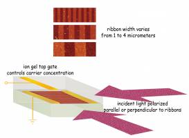 A Whole New Light on Graphene Metamaterials