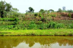 Agroecology: a better alternative in Sub-Saharan Africa