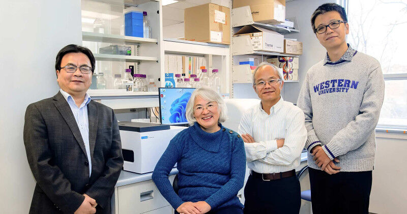 An international research team, including (L to R)  s Pingzhao Hu, Kun Ping Lu, 