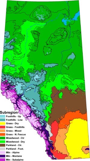 The current distribution of Alberta&rsquo;s natural subregions, pictured here, i