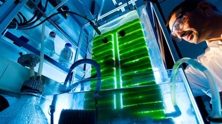 This demonstration photobioreactor is being shown in Bern. � PSI