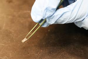 An easier way to make a topological insulator for advanced electronics