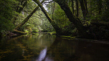 An undiscovered beauty hiding at the edge of Melbourne