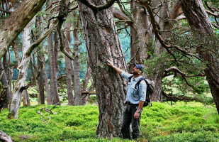 Andreas Rigling leaves the WSL Directorate