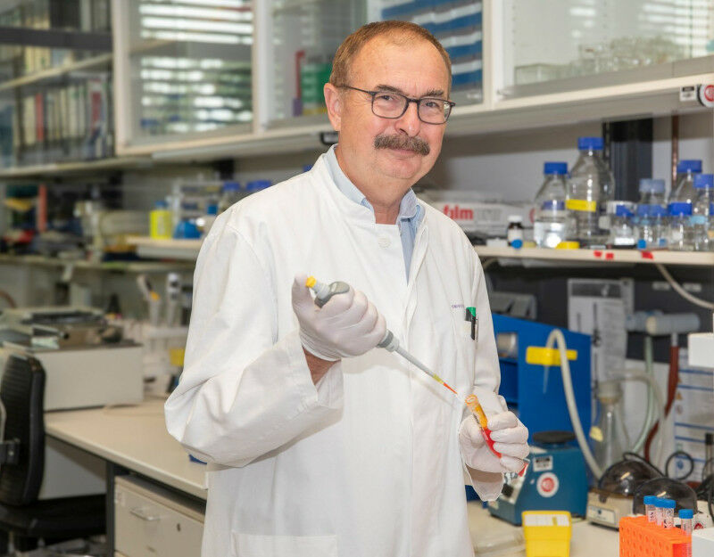 Anti-ageing and increased mental capacity through cannabis Andras Bilkei-Gorzo