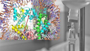 Anti-cancer drug gets a boost when combined with antirheumatic