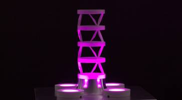 Art from the lab: the beauty of science