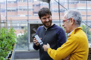 Artificial intelligence, basis of an application for detecting diseases and pests in horticultural crops