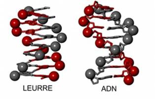 Artificial molecules that mimic DNA