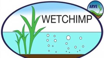 ARVE researchers leading wetland groups from Europe and North America