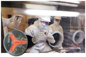 Assembling the First Detector Units of the MAJORANA DEMONSTRATOR