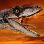 Asteroid killed off the dinosaurs, says international scientific panel