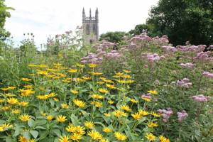 Audio guide launched at Botanic Garden