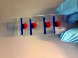 Austrian Microfluidics Initiative: Bridging gaps between product and research