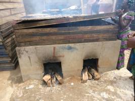 Award to fund U-M food systems anemia research in Africa