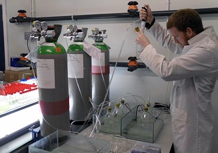 Ewan is looking at how ocean acidity levels will affect the evolution and migrat