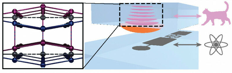 Illustration of Chu’s Schrödinger cat experiment: The cat is represented b