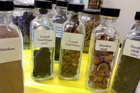 Blaine Friedlander/Cornell Chronicle