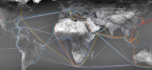 The study showed how the production of consumer goods affected biodiversity arou