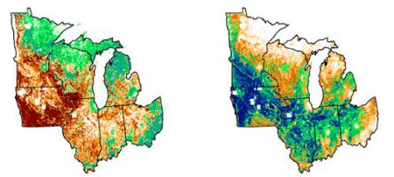 Bioenergy choices could dramatically change Midwest bird diversity