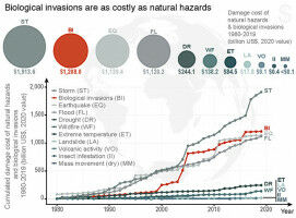 Biological invasions as costly as natural disasters