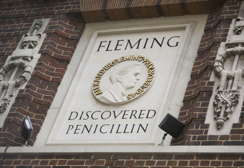 Credit: Ralph Hodgson