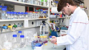 Biosensor for heavy metals