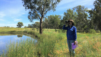 Bird prediction tool takes flight in Eureka prizes