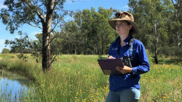 Bird protection tool flies high with Banksia win