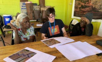 Book reveals secrets of 'fascinating' termites
