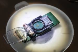 Bringing magnetic resonance to fertility treatment