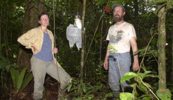 Building a better trap