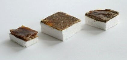 Building materials like insect exoskeletons