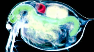 Cambridge uncovers the mysteries of science – with a little help from Sherlock Holmes