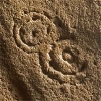 Cambridgeshire Quarry throws up 4,500-year-old find