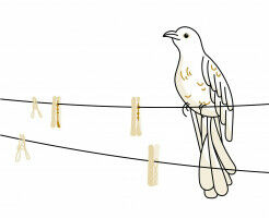 Can a wild animal make your house feel like a home?