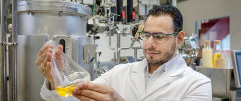 Can algae save the world?