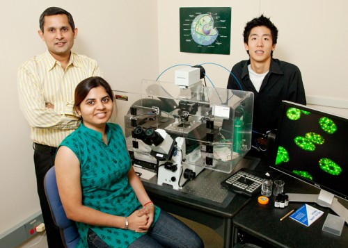 Cell and developmental biology professor Kannanganattu Prasanth, left, postdocto