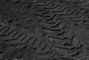 Carbon price here to stay