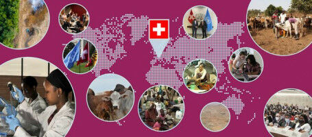 Catalysing One Health with Swiss Diplomacy