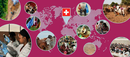 Catalysing One Health with Swiss Diplomacy