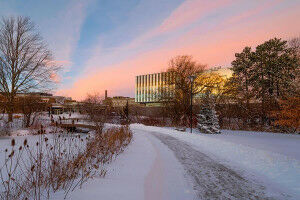 Celebrating phenomenal women in Environment