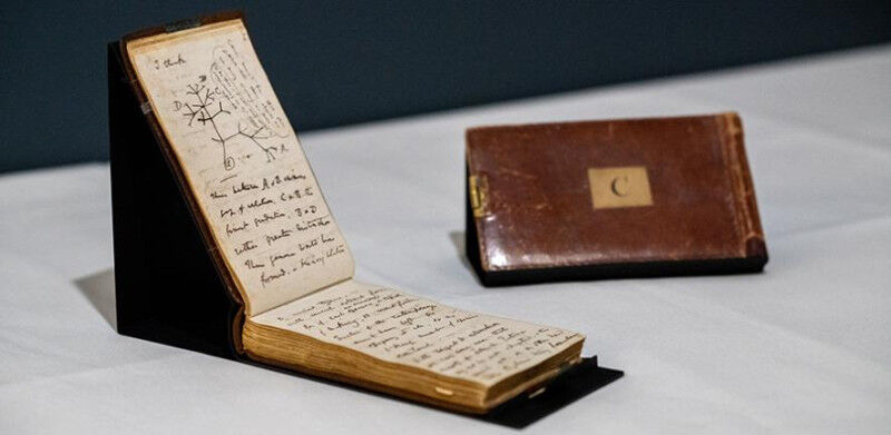 Two of Charles Darwin’s pocket notebooks in Cambridge University Library C