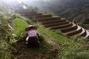 China's clean-water program benefits people, environment
