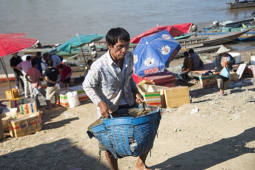 Raw or uncooked fish might result in an infection with  Opisthorchis viverrini  